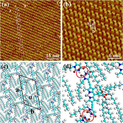 Structural and Nanotribological Properties of a BODIPY Self-Assembly